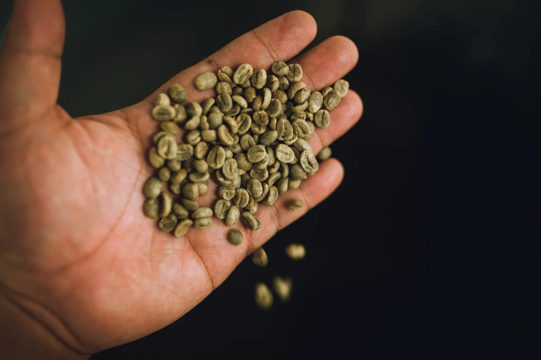 What is Green Coffee (and what does Boomtown do with it)?